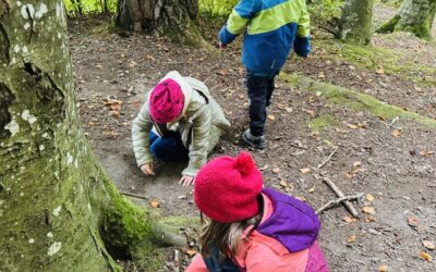 Dem Igel auf der Spur