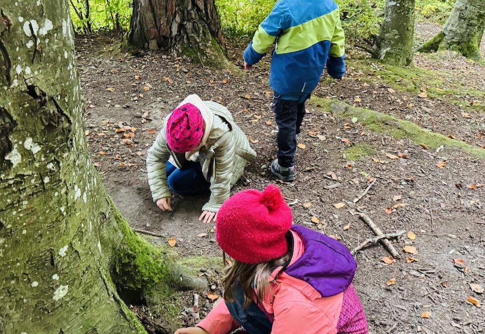 Dem Igel auf der Spur