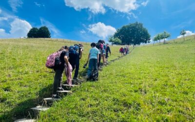 Murmelweg Lenzburg – Schulreise
